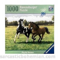 Ravensburger Playful Horses 1000 Piece Puzzle B078JWB9PL